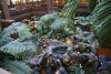 DSC05461_opt.jpg