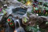 DSC05462_opt.jpg