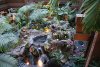 DSC05465_opt.jpg