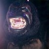 Kong US.jpg