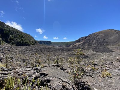 IMG_6255.jpeg