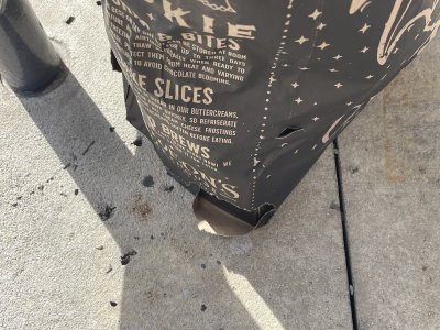 IMG_9873.jpeg