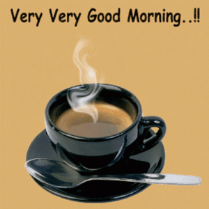 IMG_3134.gif