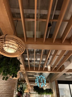 IMG_3421.jpeg