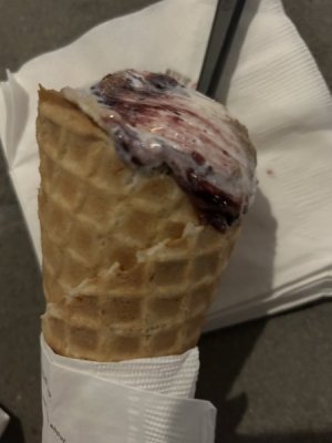 IMG_3431.jpeg