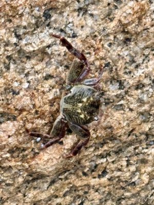 IMG_5140.jpeg