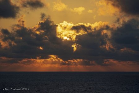 DSC_8295.jpeg