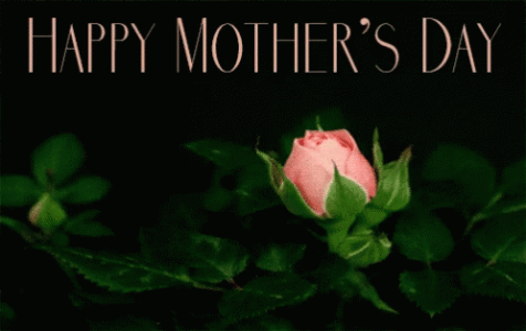 IMG_3136.gif