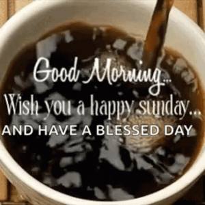 IMG_3141.gif