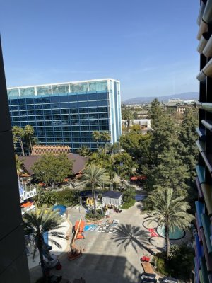 IMG_8359.jpeg