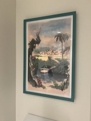 IMG_6349.jpeg