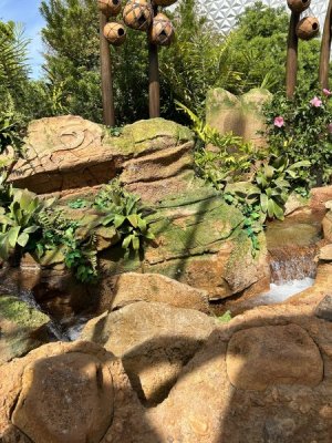 IMG_3465.jpeg
