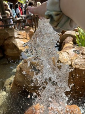 IMG_3472.jpeg