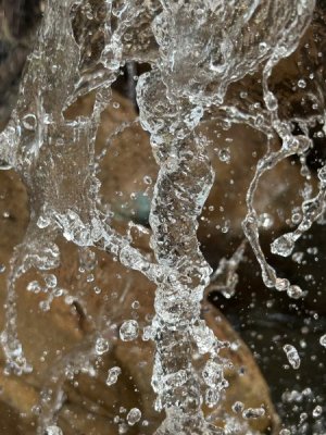 IMG_3475.jpeg