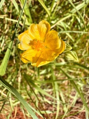 IMG_5760.jpeg