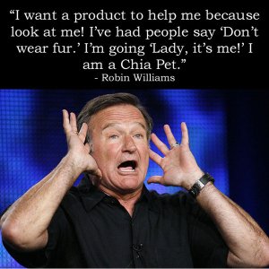 Robin-Williams Chia Pet copy.jpg
