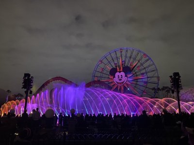 IMG_8081.jpeg