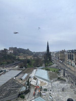 IMG_8378.jpeg