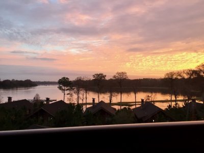 IMG_4566.jpeg
