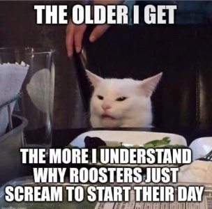 IMG_4371.jpeg