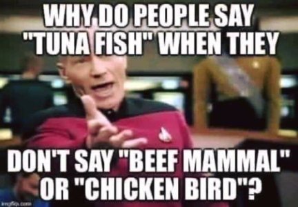 IMG_4372.jpeg