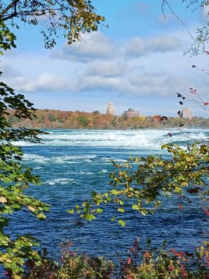 20231022_134226.jpg