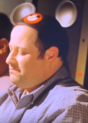 soarin.png