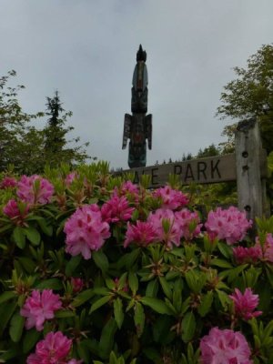 IMG_0318.jpeg