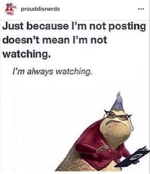 IMG_4401.jpeg