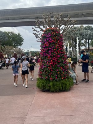 IMG_3358.jpeg