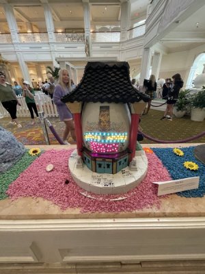 IMG_3546.jpeg IMG_3546.jpeg