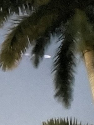 IMG_9343.jpeg