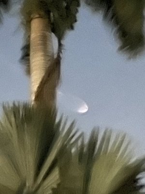 IMG_9346.jpeg