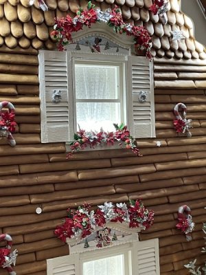 IMG_5771.JPG