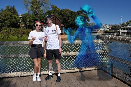 1710787399329.jpeg