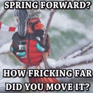 IMG_4821.jpeg