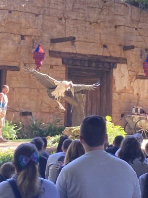 IMG_3102.jpeg