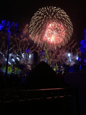 IMG_3145.jpeg