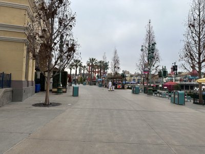 IMG_1277.jpeg