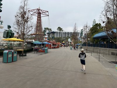 IMG_1276.jpeg