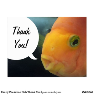 1711125057432.png