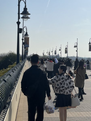 1711160049455.png