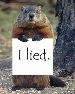 gopher not spring.jpg