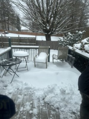 IMG_5369.jpeg