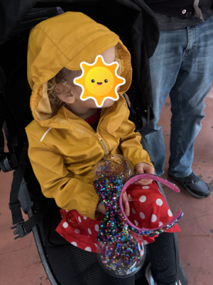 IMG_DD4stroller.png