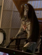 1711425779154.png