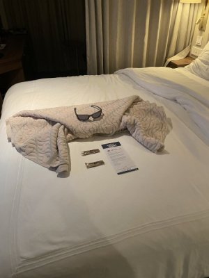 IMG_1803.jpeg