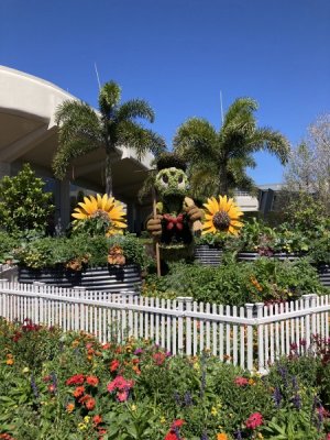 IMG_3152.jpeg