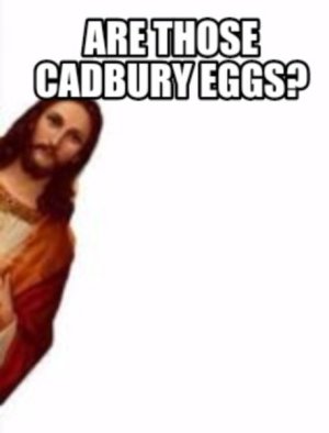 IMG_4859.jpeg