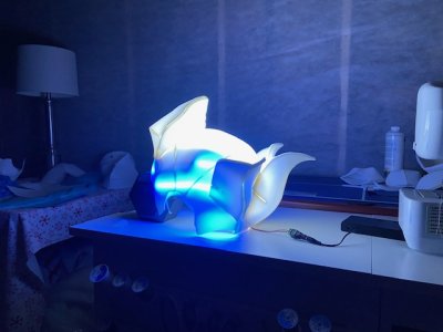 thumbnail_IMG_6957.jpg